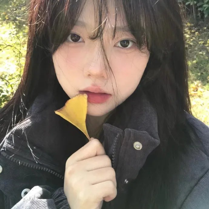 爱在城市边境
